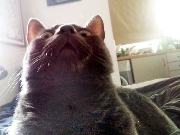 This Is What I Woke Up To This Morning