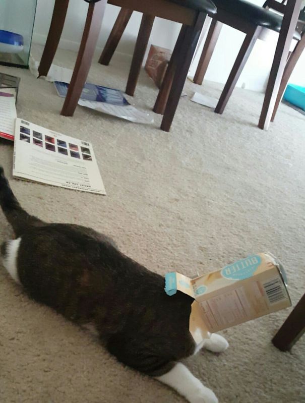 Literally Woke Up To Her At My Door Like This