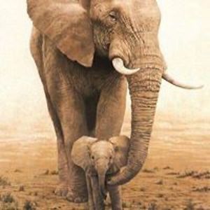 yvonne_rosario avatar