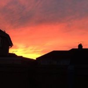 socialpages52 avatar