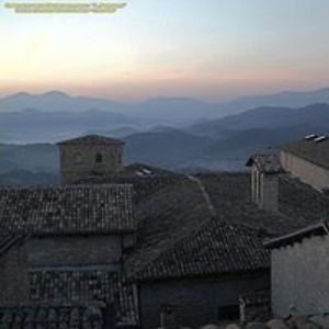 germanderspeedwell avatar