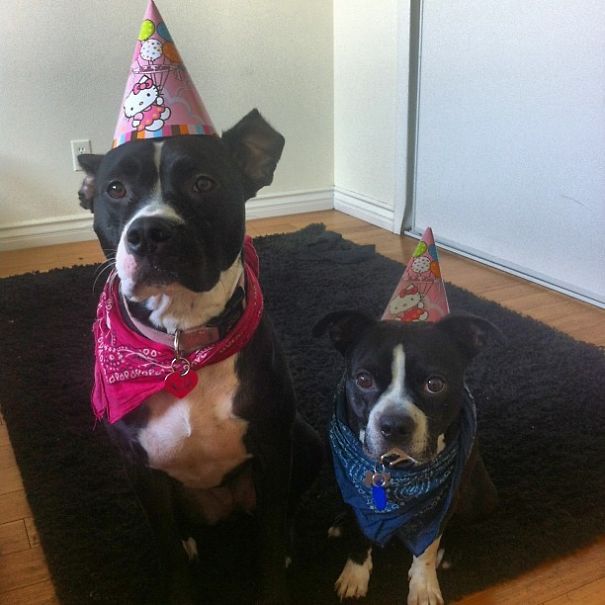 It's My Husband's Birthday Today. This Is The First Thing He Saw When He Woke Up