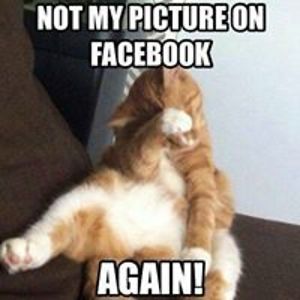 jenniferrb21_jb avatar