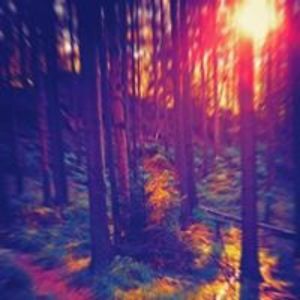 prettypantymodel avatar