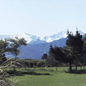 ste_sommelier85 avatar