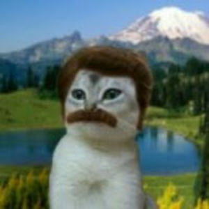 bodidivatulku avatar