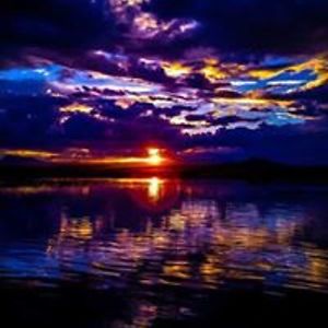 sabrenapatterson01 avatar