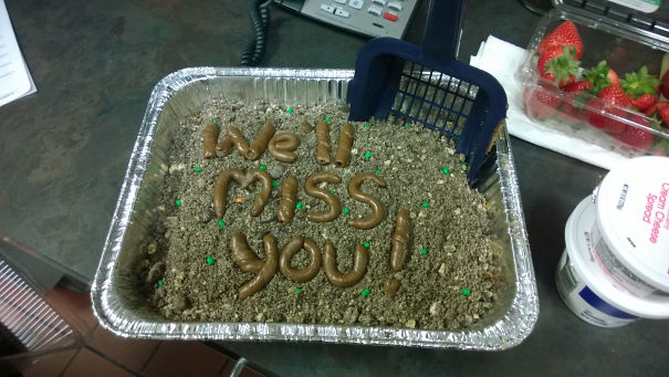 The Kind Of Farewell Cake You Get For Your Last Day At A Vet Office