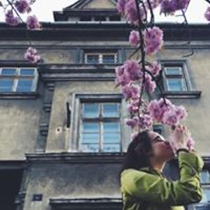 klarka_pivovarova avatar