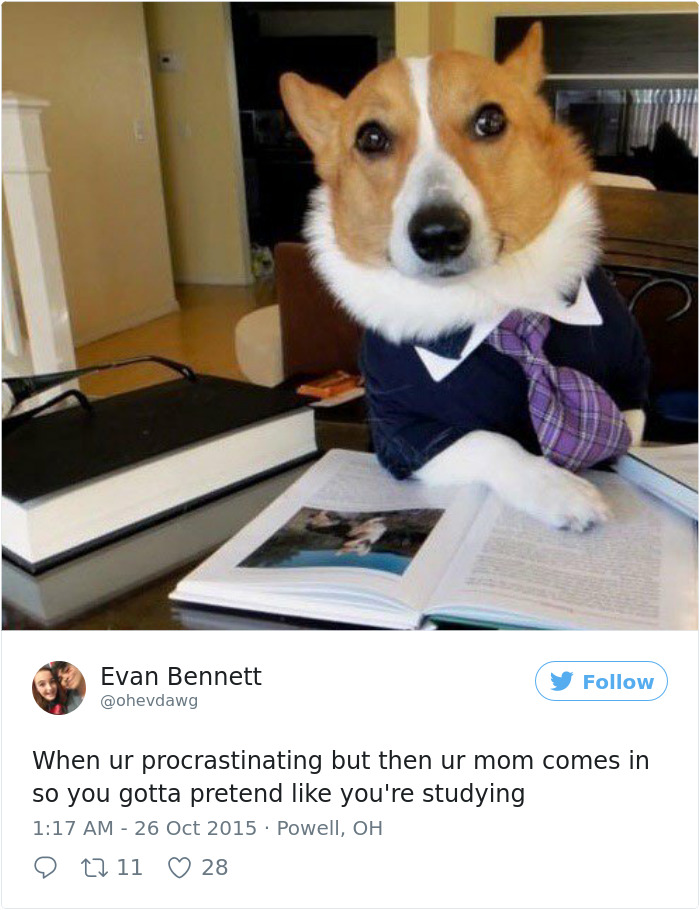 Procrastination Tweet