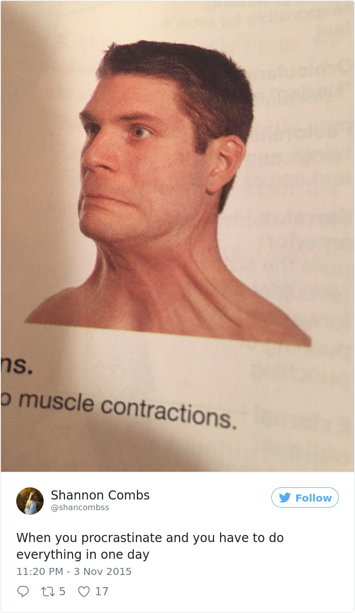 Procrastination Tweet