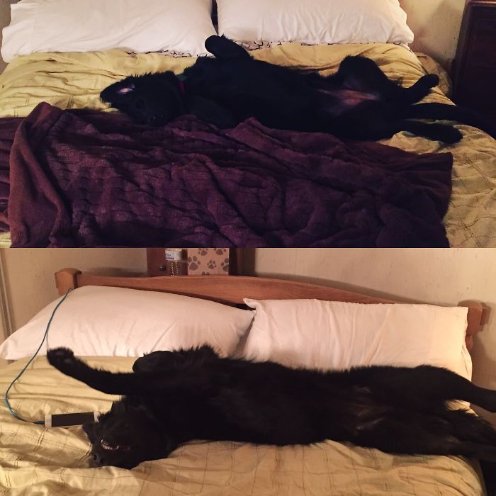 Still Can Sleep Cute.