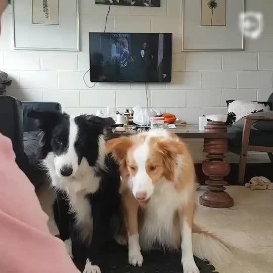 Get Ready For Family Picture Guys!