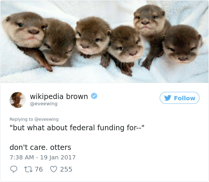 Best-woman-tweets-2017