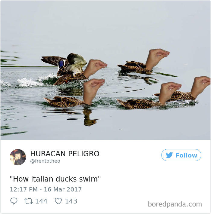 Italian ducks meme