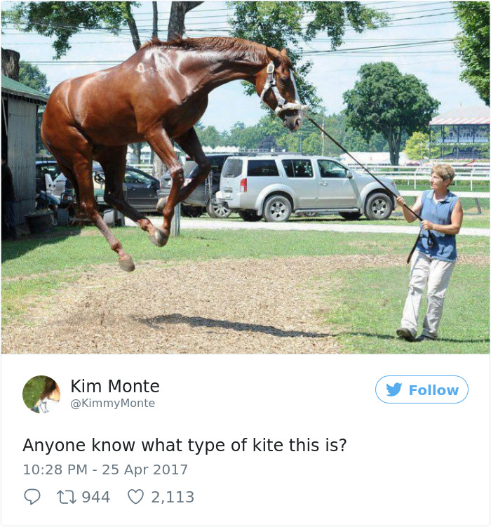 Best-woman-tweets-2017