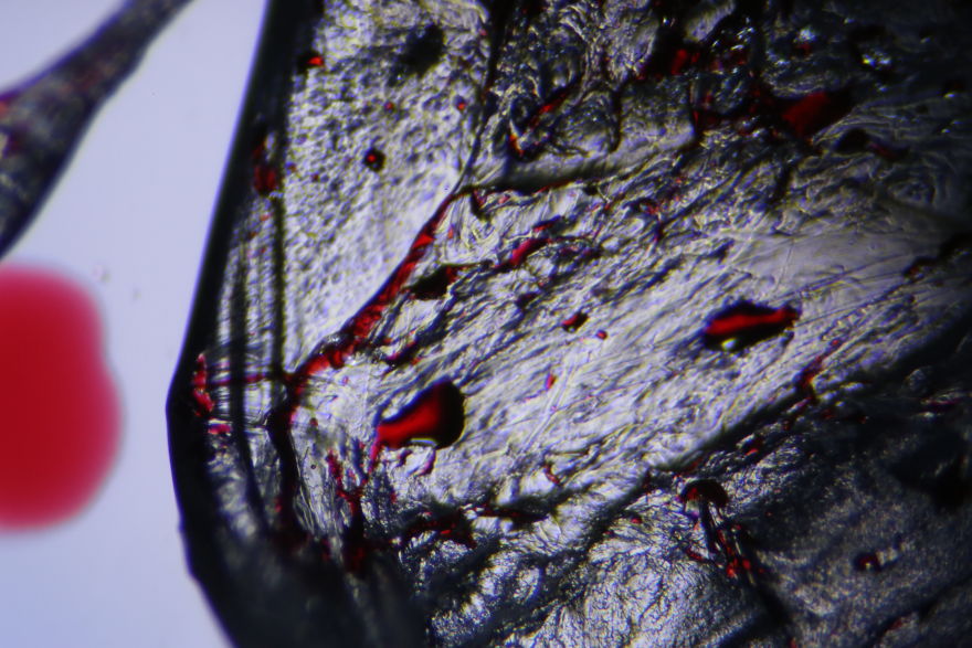 Italian Artist Create Micro-Painting With Microscope And Dslr Camera.