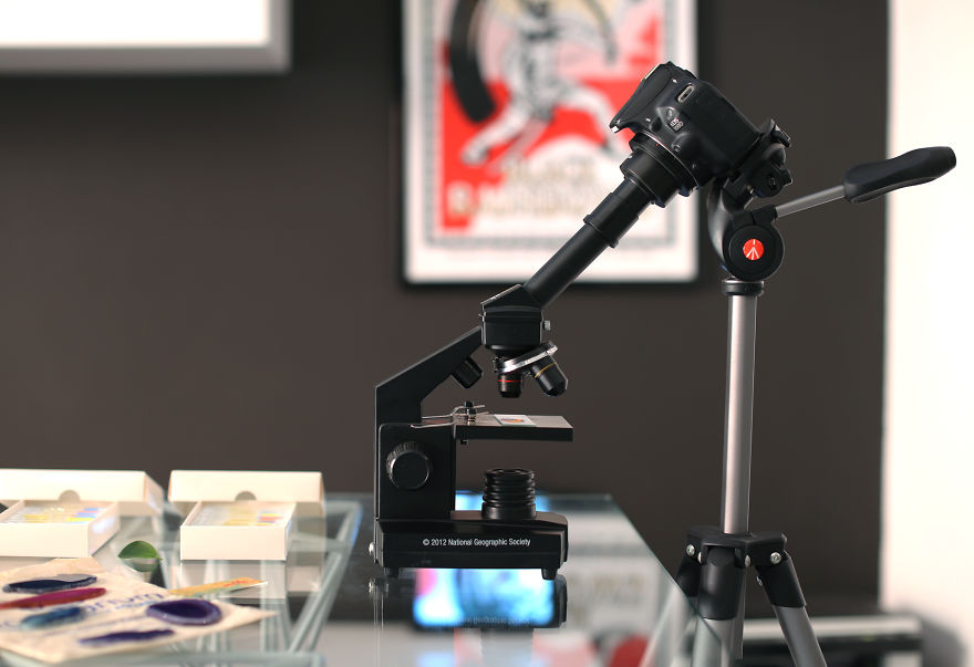 Italian Artist Create Micro-Painting With Microscope And Dslr Camera.