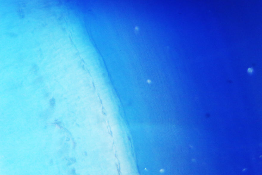 Italian Artist Create Micro-Painting With Microscope And Dslr Camera.