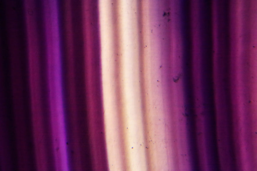 Italian Artist Create Micro-Painting With Microscope And Dslr Camera.