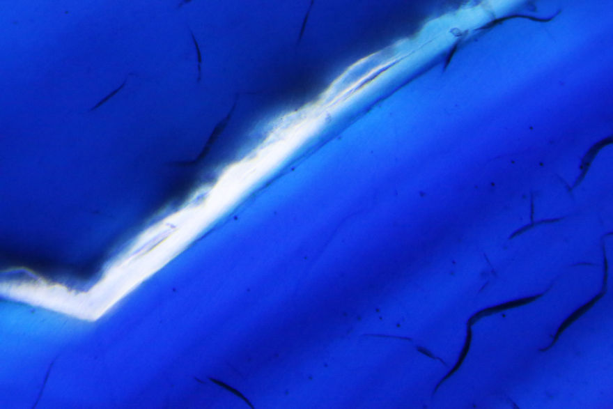 Italian Artist Create Micro-Painting With Microscope And Dslr Camera.