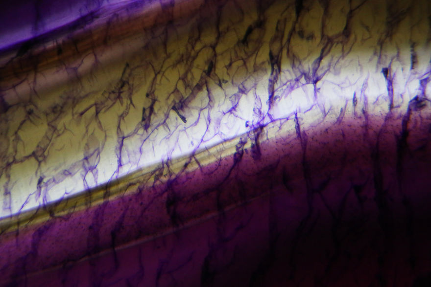 Italian Artist Create Micro-Painting With Microscope And Dslr Camera.