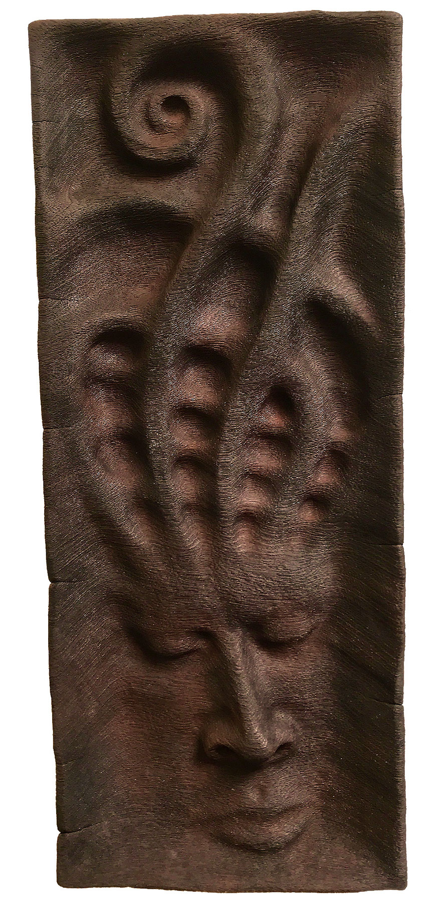 Ayahuasca Visions Showed Artist An Ancient Woodworking Technique That He Is Now Using To Produce Unique Wood Sculptures