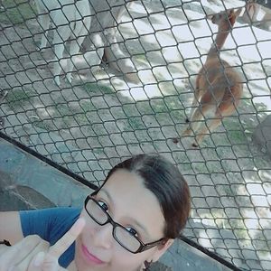 josselynt_m_hellobittersweetdays_ avatar