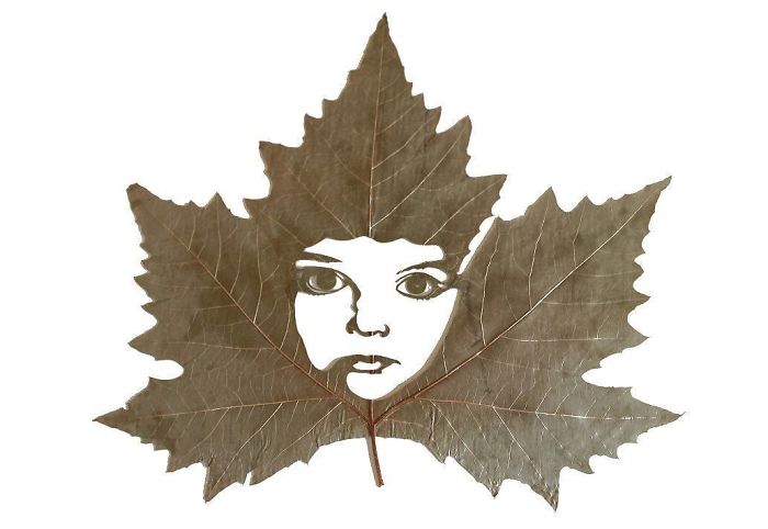 Lorenzo M. Durán's Leaf Art: Evolution