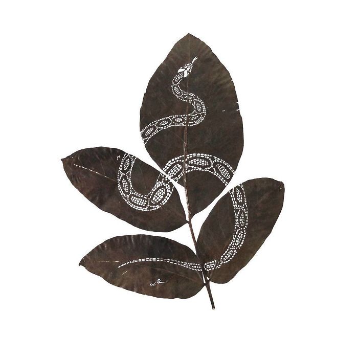 Lorenzo M. Durán's Leaf Art: Evolution