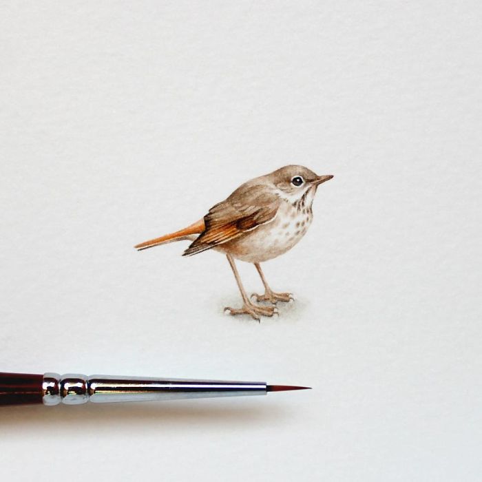 Watercolor Miniatures