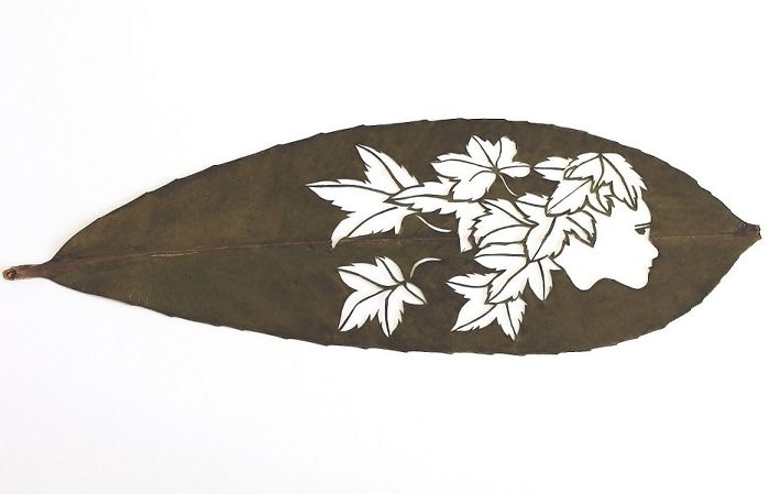 Lorenzo M. Durán's Leaf Art: Evolution
