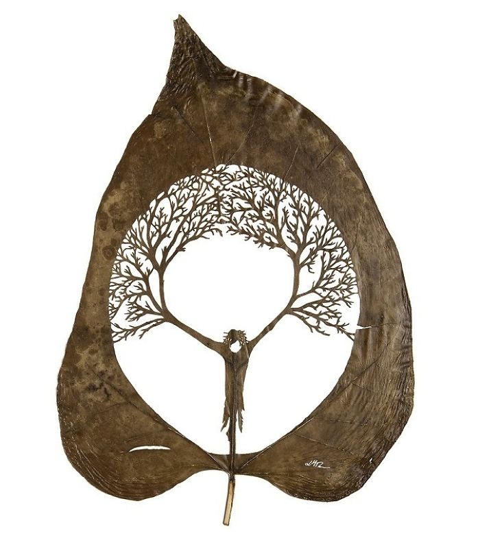 Lorenzo M. Durán's Leaf Art: Evolution
