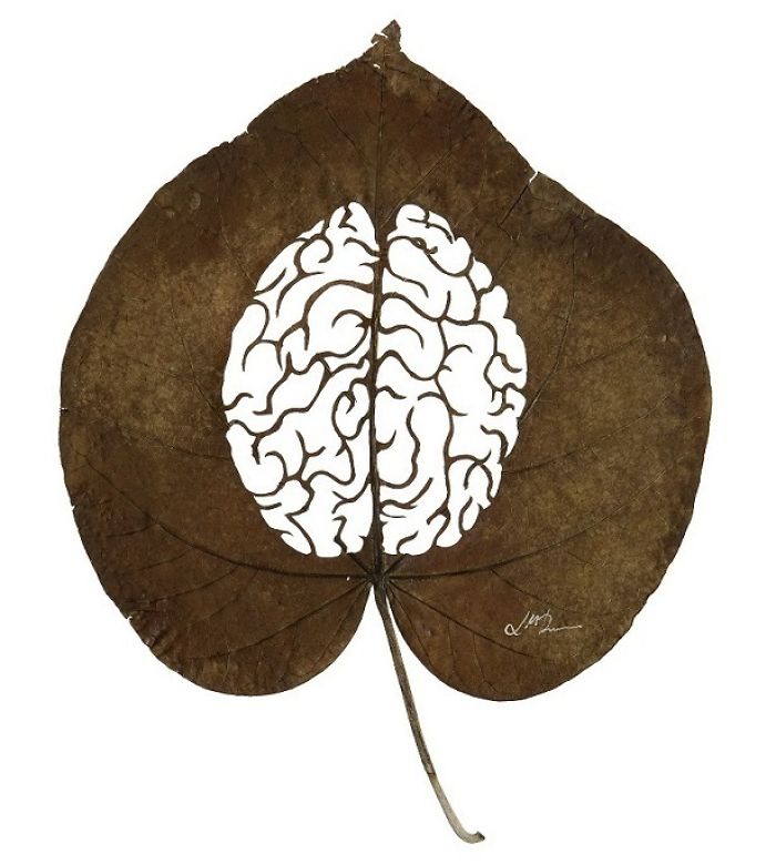 Lorenzo M. Durán's Leaf Art: Evolution