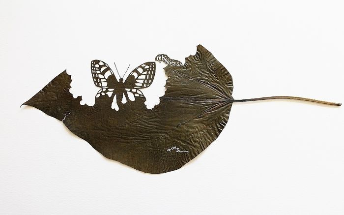 Lorenzo M. Durán's Leaf Art: Evolution