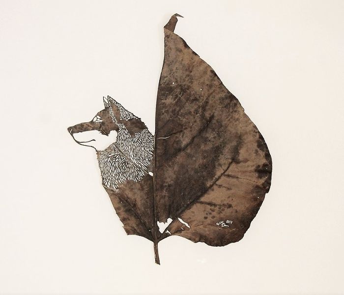 Lorenzo M. Durán's Leaf Art: Evolution