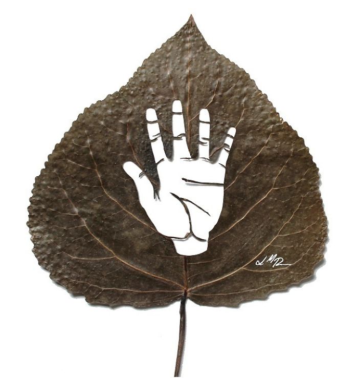 Lorenzo M. Durán's Leaf Art: Evolution