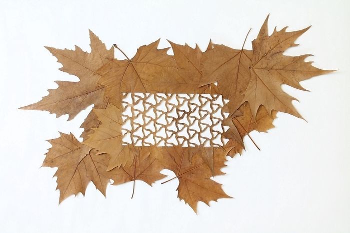 Lorenzo M. Durán's Leaf Art: Evolution
