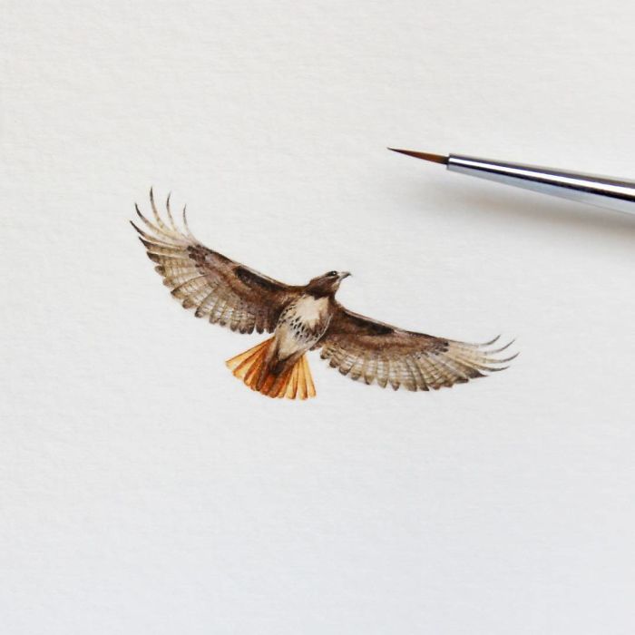 Watercolor Miniatures