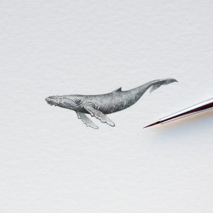 Watercolor Miniatures