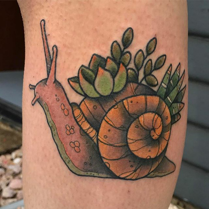 Succulent tattoo design featuring a snail with plants on its shell.