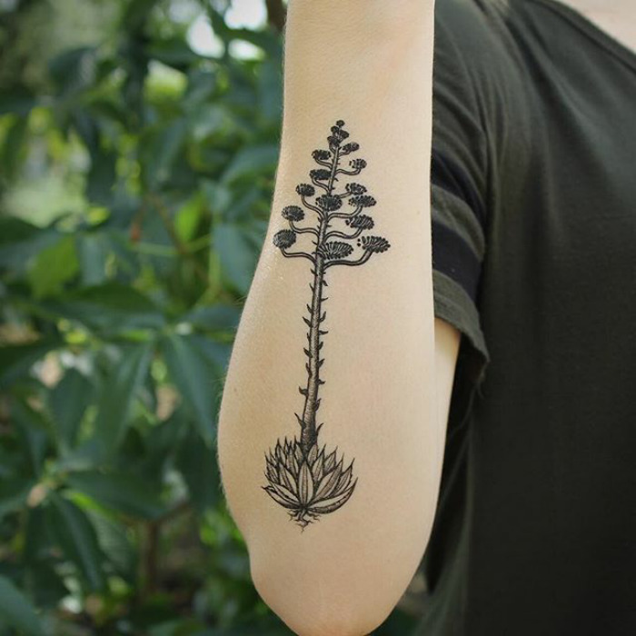 Succulent tattoo on forearm, featuring detailed black ink design, set against a background of green foliage.