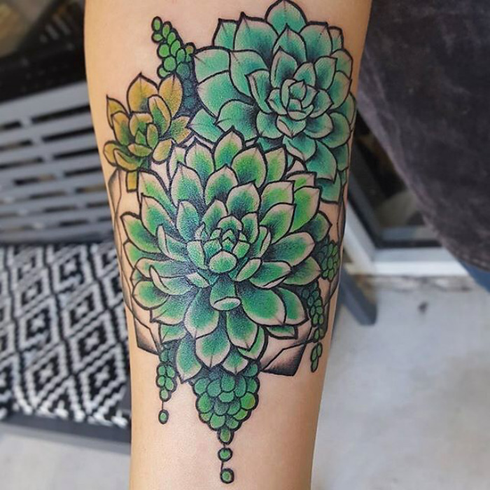 Succulent tattoo design featuring green rosettes on forearm, showcasing a bold and vibrant style.
