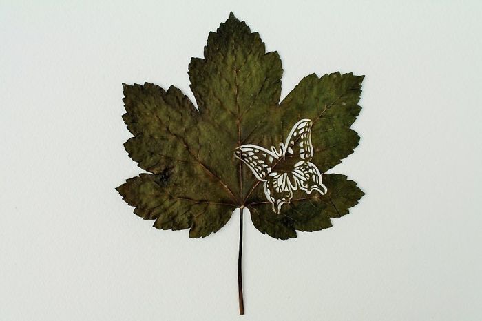 Lorenzo M. Durán's Leaf Art: Evolution