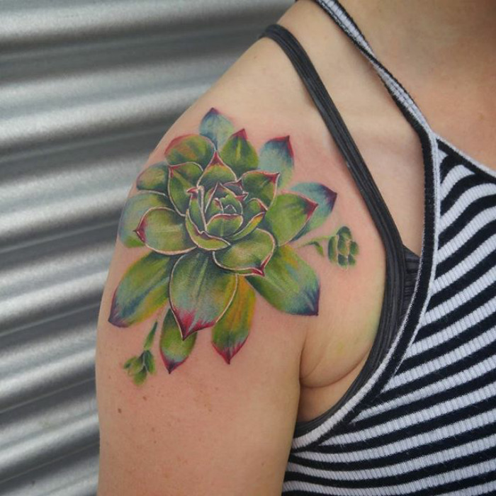 Succulent tattoo on shoulder featuring vibrant green and red tones, ideal inspiration for succulent enthusiasts.
