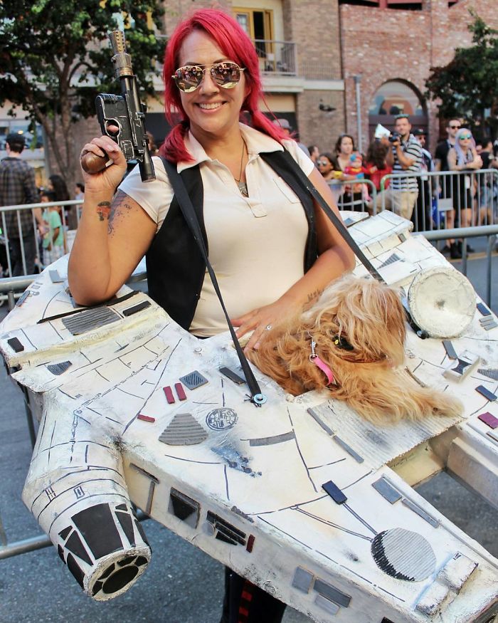 Han Solo And Chewbacca, Star Wars