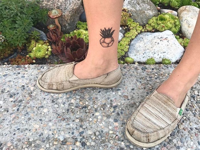 Ankle tattoo of a succulent in an abstract pot design, next to a garden path with succulents in the background.