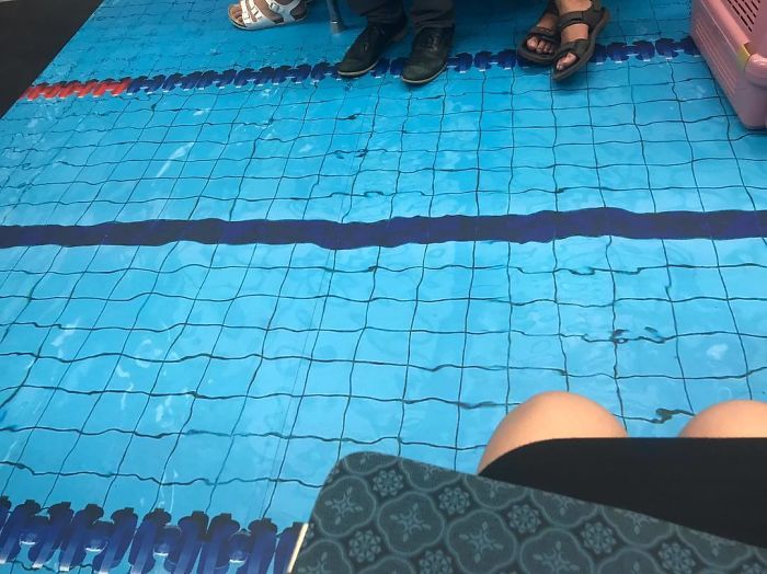 Taiwan Surprises Passengers By Turning Subway Cars Into Different Sport Venues For Upcoming Universiade Taiwan Surprises Passengers By Turning Subway Cars Into Different Sport Venues For Upcoming Universiade