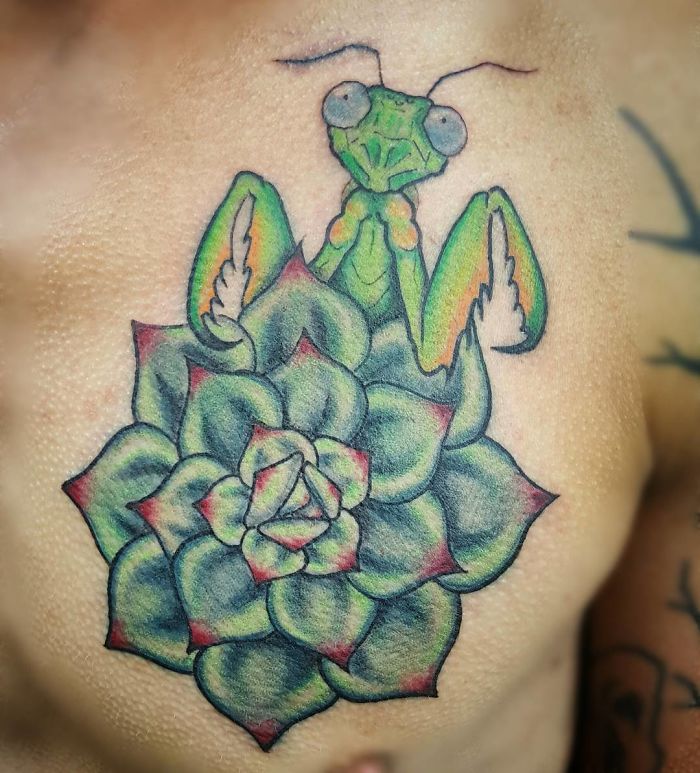 Succulent tattoo featuring a colorful praying mantis on skin.