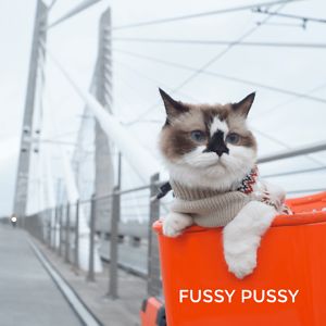 FUSSY PUSSY